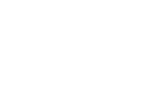 vision-logo