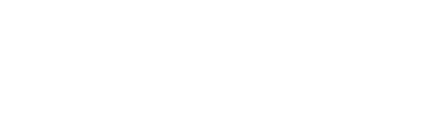 Stride Ventures - white